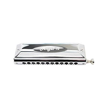 Amazon.com: Harmo Angel 16 Chromatic Harmonica Key of C